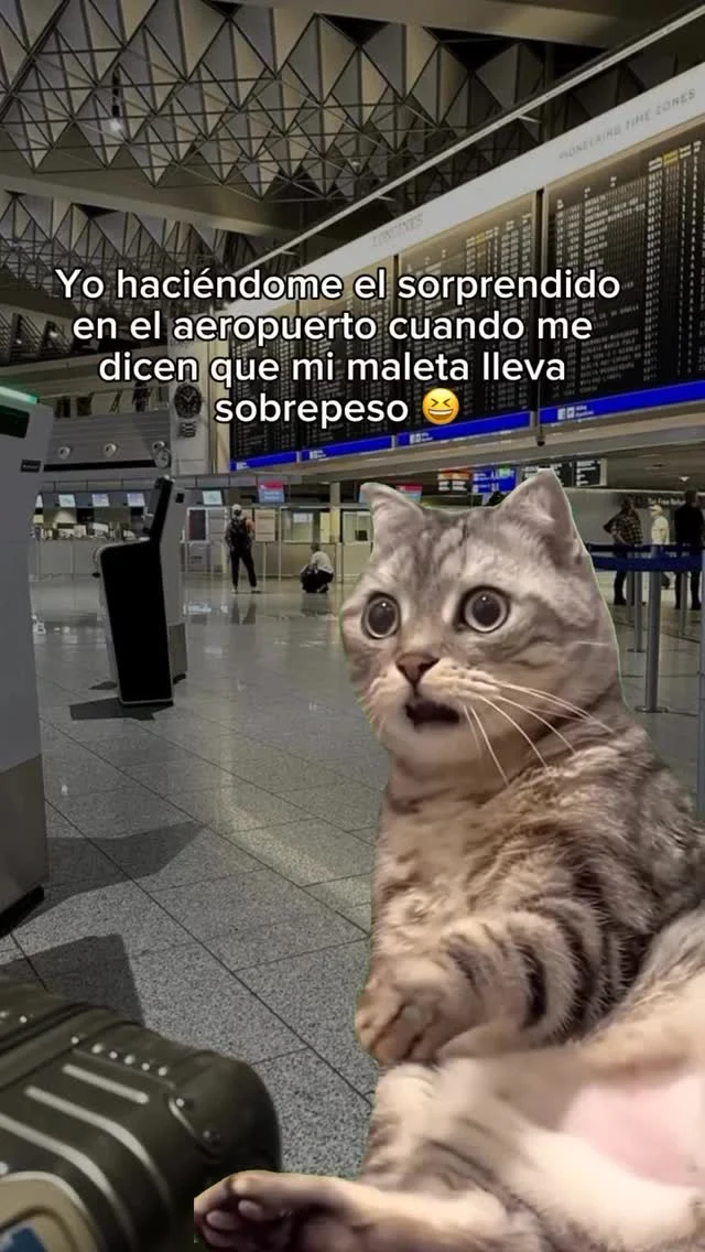 Hay que hacerse los sorprendidos, a veces puede funcionar 😂 #travel #viajes #turismo #ilovetravel #vacaciones